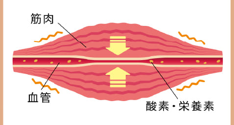 肩こりが起きている体の状態 画像